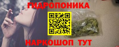 спайс Ачхой-Мартан