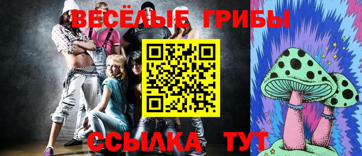 Краснодар  Псилоцибиновые грибы Psilocybine cubensis  Вход с VPN 